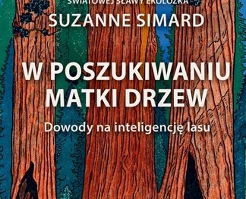 Poczytanie 73. Rokita Czyta „W poszukiwaniu Matki Drzew” Suzanne Simard