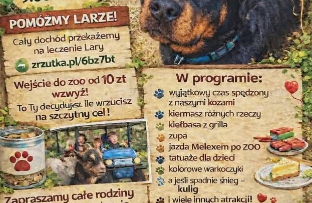 Dzień Otwarty w Animal World